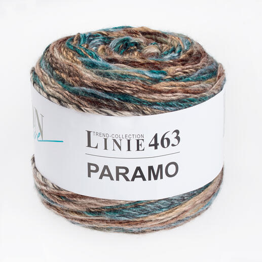 Linie 463 Paramo von ONline 