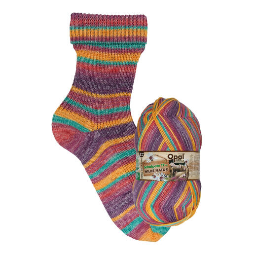 Bunte Socke in Rippstrick, zusammen mit dem Opal Schafpate Garn.