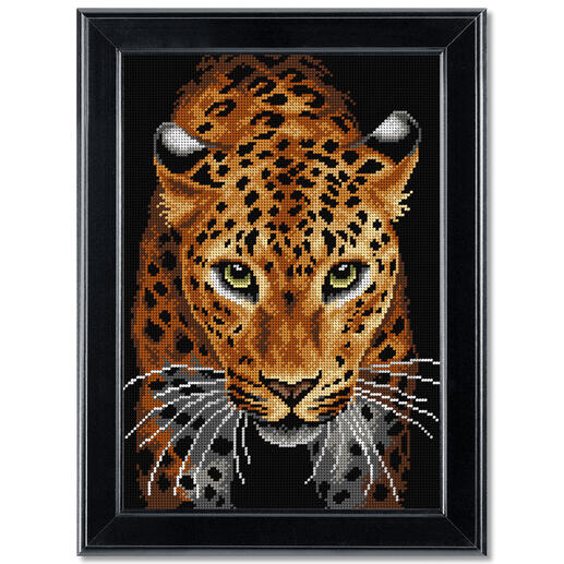 Nahaufnahme eines Leoparden mit intensiven Augen.