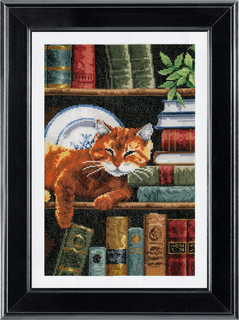 Kreuzstichbild einer Katze, die auf einem Bücherregal schläft, umgeben von Bücherreihen.