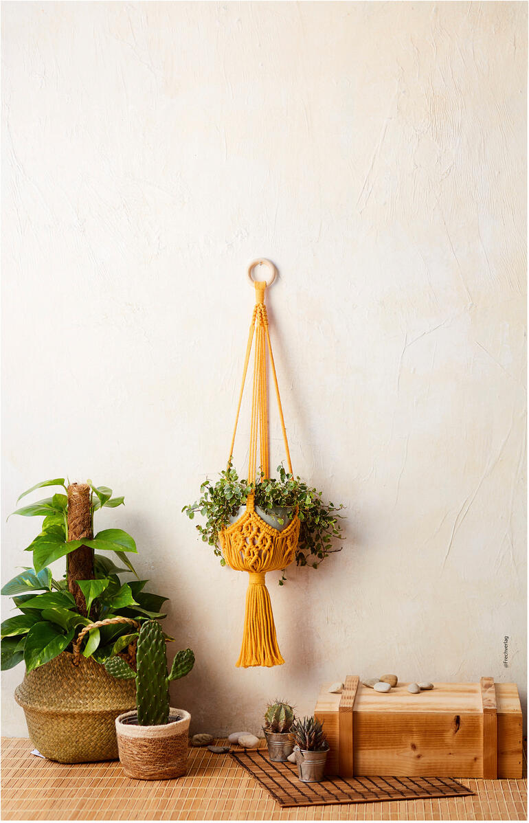 Makramee-Blumenampel im Boho-Stil von der Wand hängend, umgeben von Pflanzen.