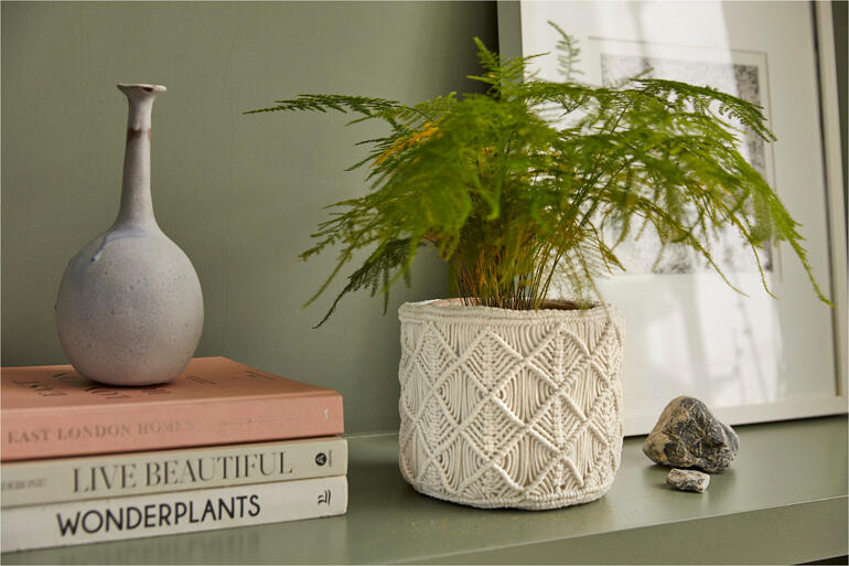 Makramee-Übertopf mit einer Pflanze und Deko auf einem Regal.
