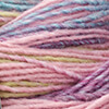 Rosa/Graurot/Rot/Helloliv/Blaurot/Jeans