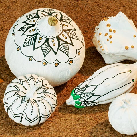 Kürbisse kreativ bemalen - Alle Kategorien